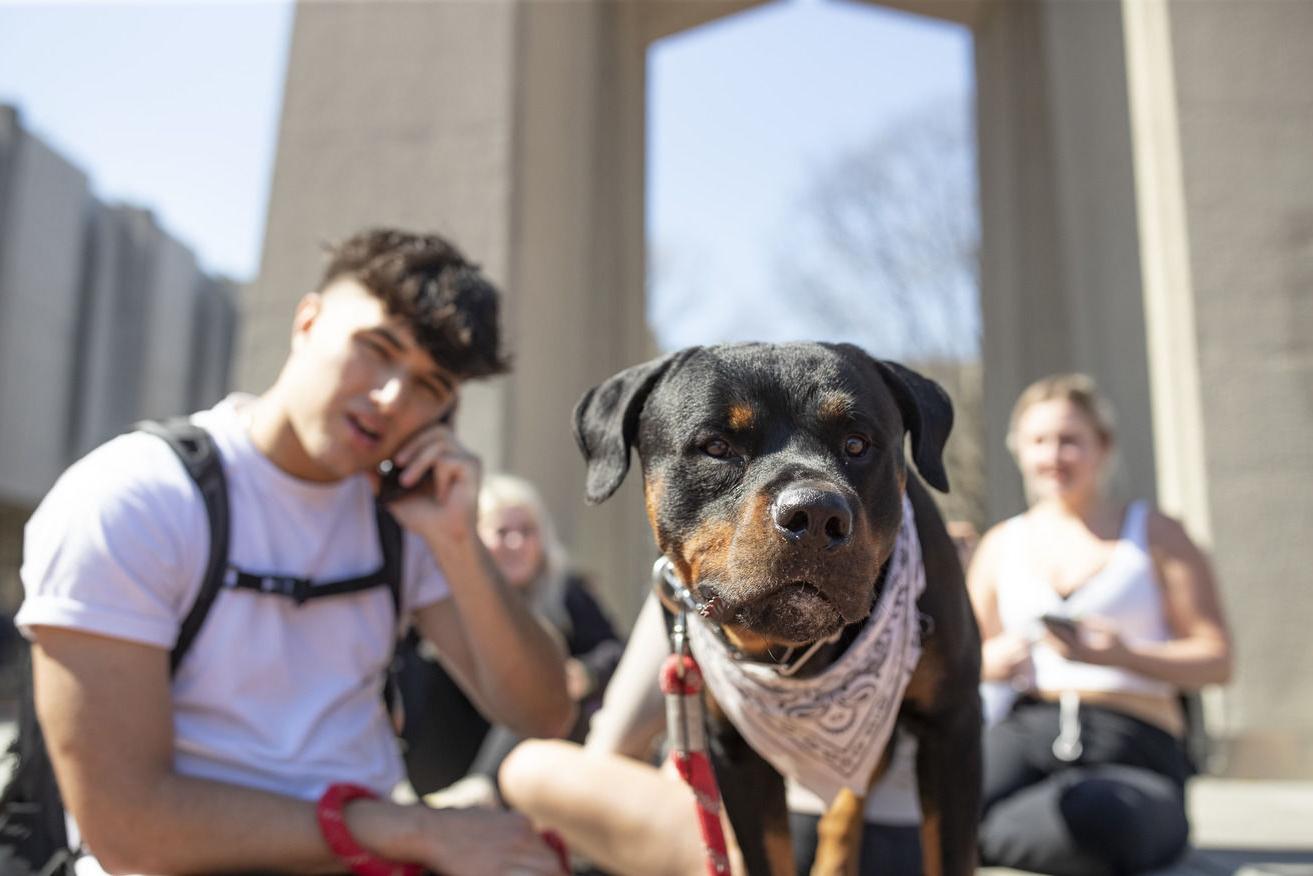 An image of a dog 和 student sitting in front of the belltower.